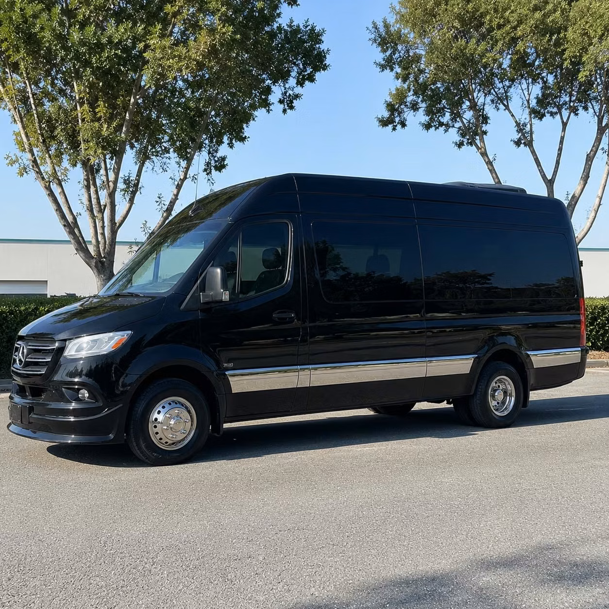 sprinter van with driver
